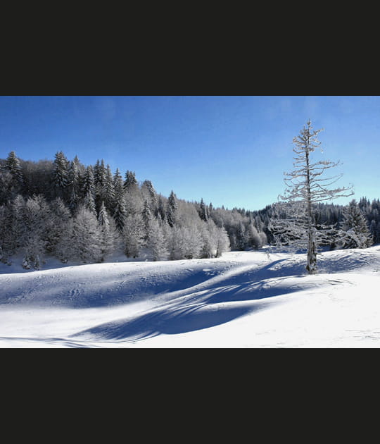 Hivernal