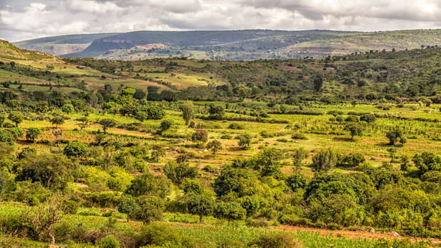 La Corne de l’Afrique sur les traces d’Arthur Rimbaud