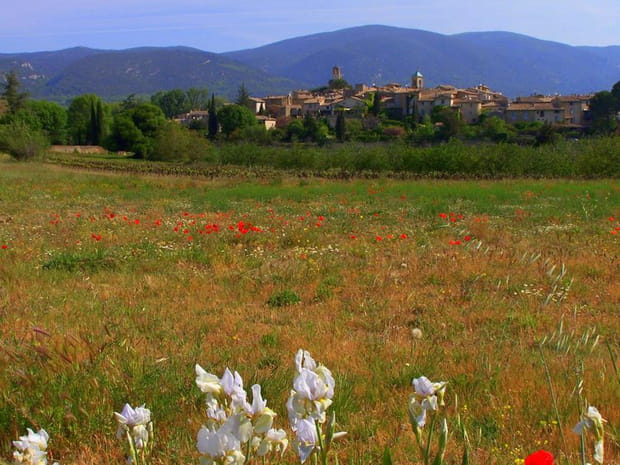 Lourmarin, le charme provençal au pied du Luberon