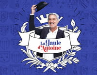 La Gaule d'Antoine : Nouvelle vague