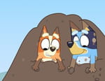 Bluey