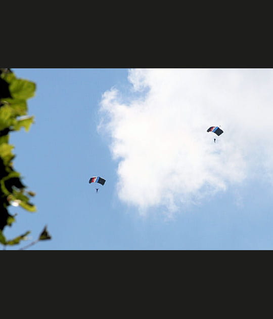 Un oiseau, un avion&nbsp;?