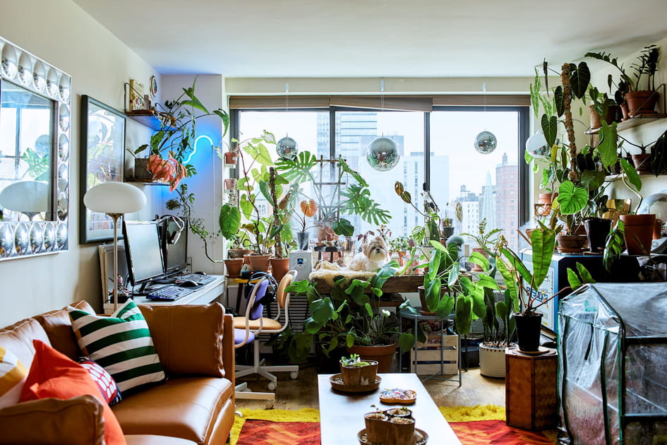 Multiplier les plantes et les fleurs