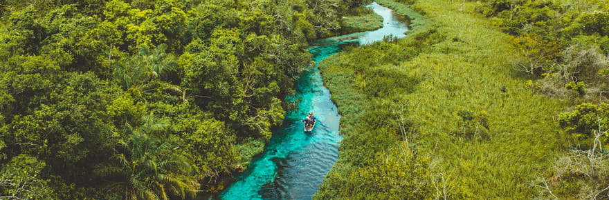 Pantanal, le joyau sauvage du Br&eacute;sil