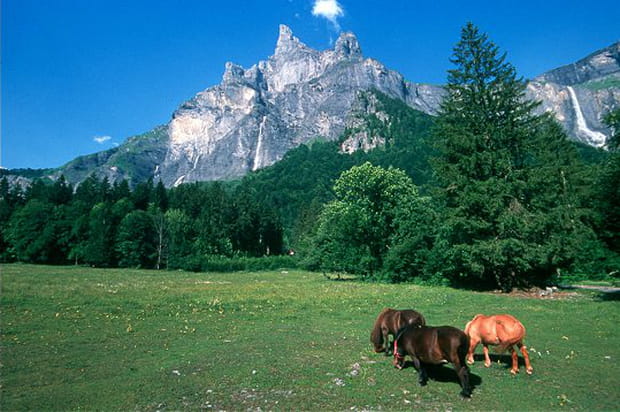 La réserve naturelle de Sixt-Passy