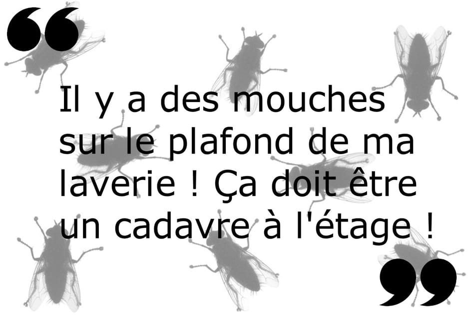 Les mouches qui tuent