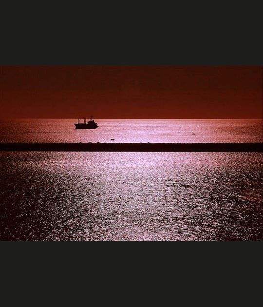 P&ecirc;che nocturne