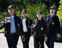 NCIS : enquêtes spéciales : La tête du serpent