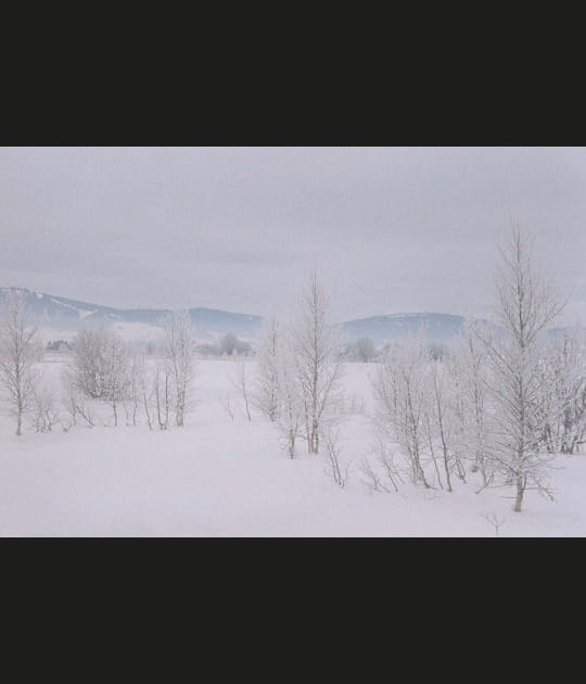 Bois-d'Amont, Jura