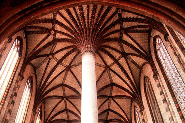 Le palmier des Jacobins