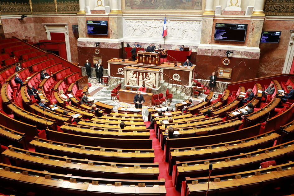 Assembl&eacute;e nationale clairsem&eacute;e