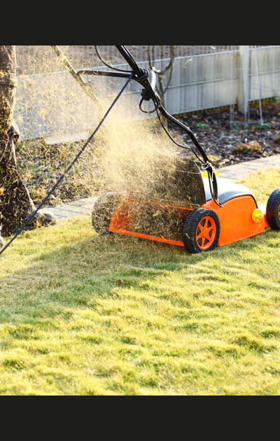 Scarifier le gazon