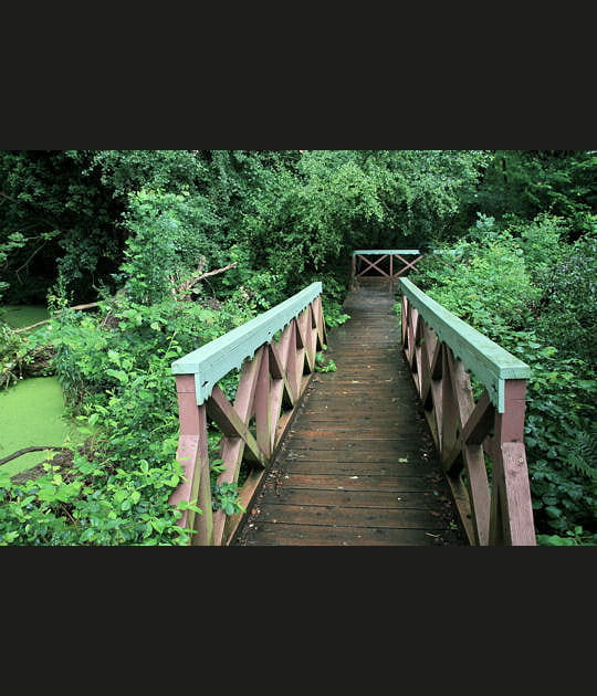 Passerelles sur les sources phr&eacute;atiques