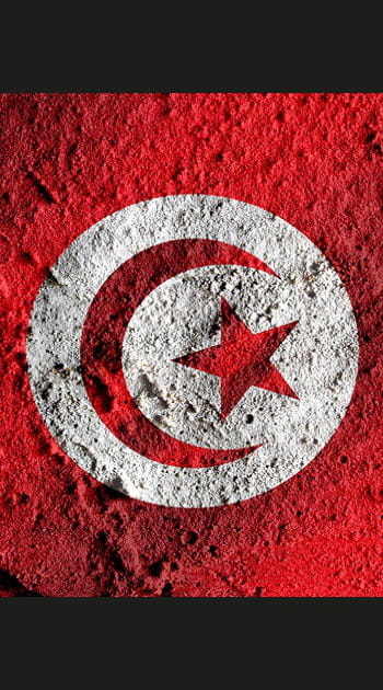 Tunisie : 3 % des immigr&eacute;s arriv&eacute;s en 2012