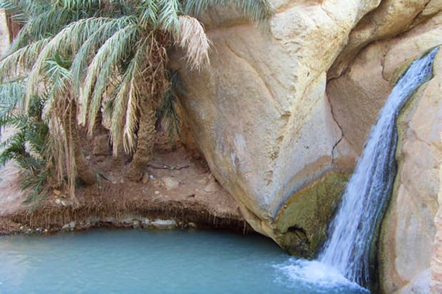 La source de Chebika
