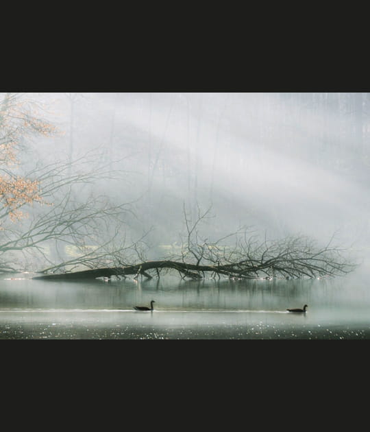 Brume et soleil