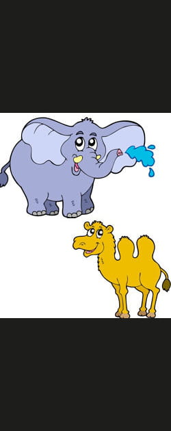 Duel chameau-&eacute;l&eacute;phant