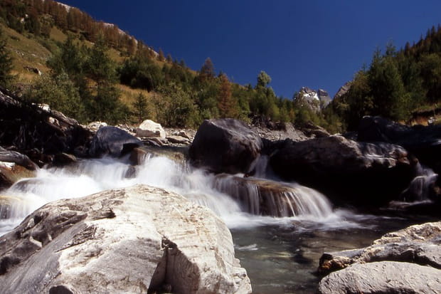 La réserve naturelle de Ristolas Mont-Viso