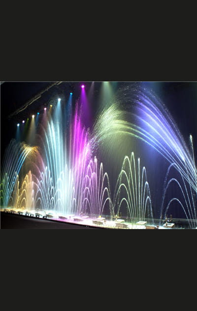 F&eacute;&eacute;rie des eaux au Grand Rex en d&eacute;cembre