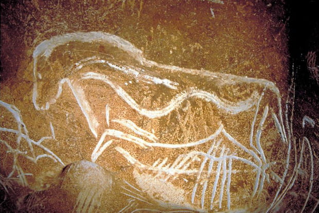 Le cheval gravé de la salle Hilaire