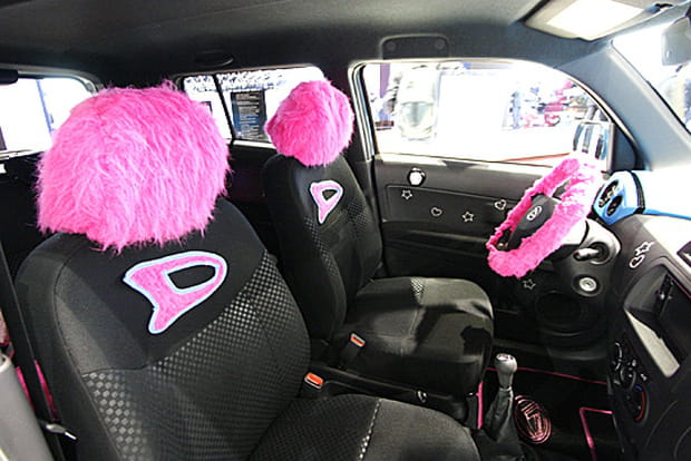 Une personnalisation au poil