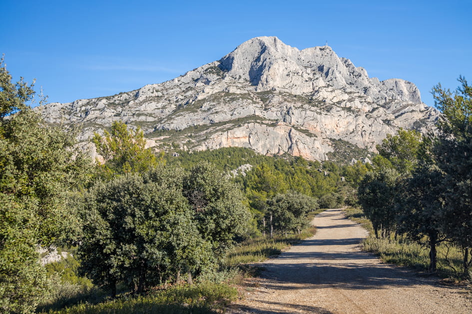 En Provence avec Proven&ccedil;anes