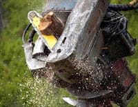 Ax Men : Un trésor dans les marais