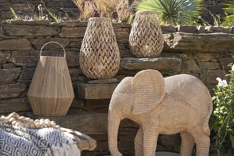 Inspiration savane
