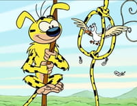 Nos voisins les Marsupilamis : La rivale de Maman