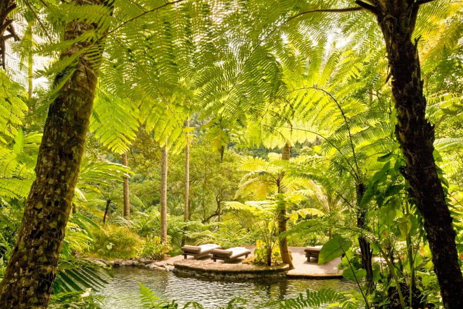 A Bali&nbsp;: COMO Shambhala Estate