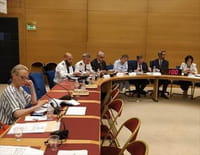 L'affaire Benalla, l'enquête du Sénat