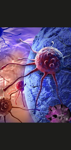 Cancer&nbsp;: 158&nbsp;893&nbsp;d&eacute;c&egrave;s (29,72&nbsp;%)