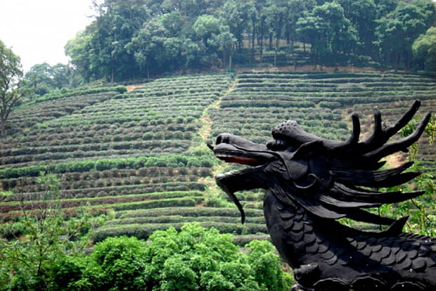 Hangzhou, la ville des dragons