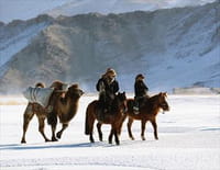 Equus : Une histoire de chevaux et d'hommes