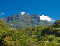 D'outremers : La Réunion