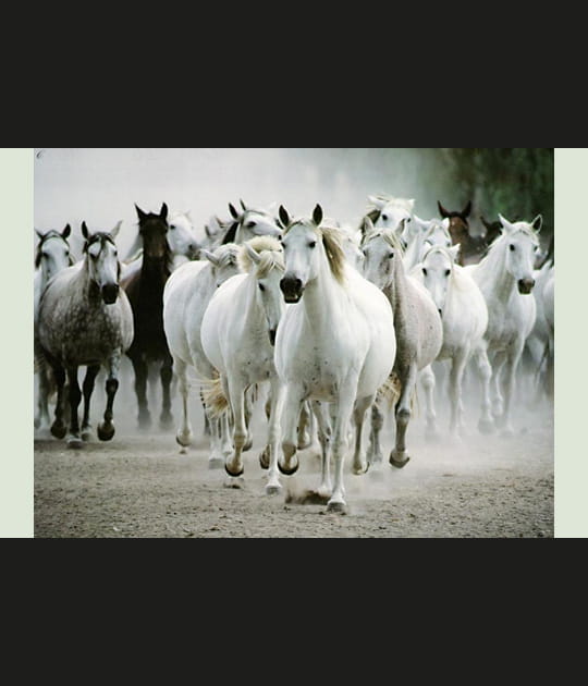 Vos meilleures photos de mars 2007