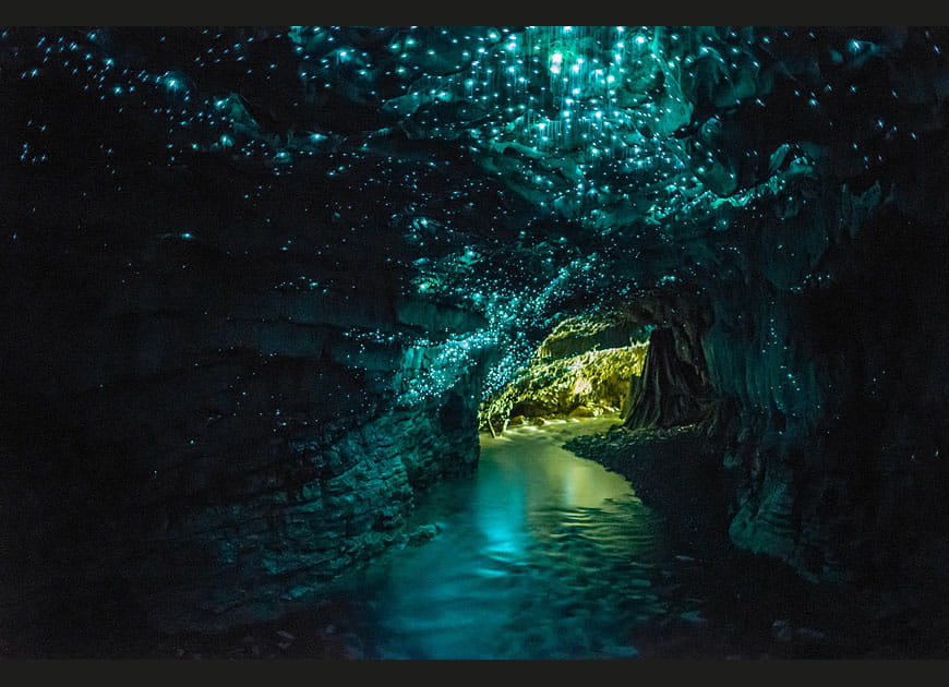 Les grottes de Waitomo en Nouvelle-Z&eacute;lande