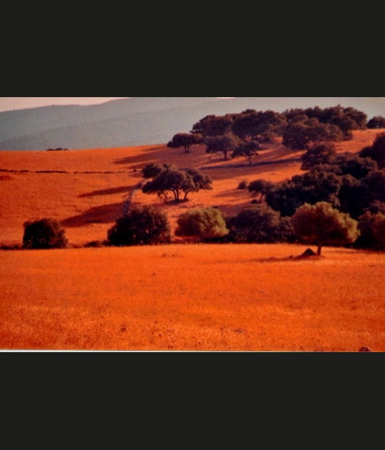 Tierra Roja