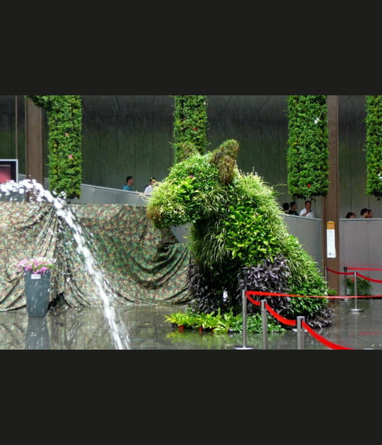 Le jardin &agrave; la fran&ccedil;aise