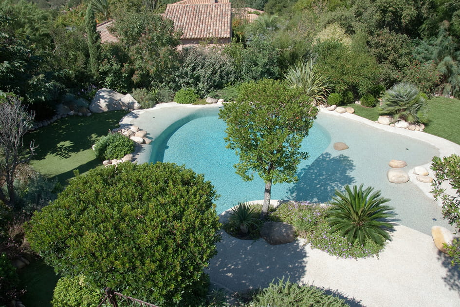 Une piscine naturelle