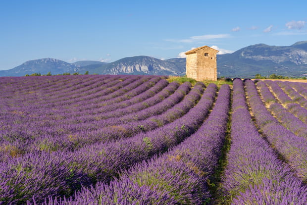 Puimoisson, les couleurs de l'été