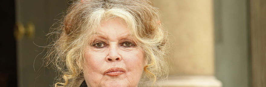 Brigitte Bardot hospitalis&eacute;e&nbsp;: une &quot;maladie grave&quot; et une op&eacute;ration chirurgicale, comment va l'actrice&nbsp;?