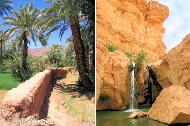 De l'eau, des palmiers et du calme