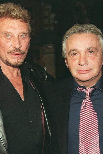Michel Sardou se passait &quot;tr&egrave;s bien de Johnny&quot;