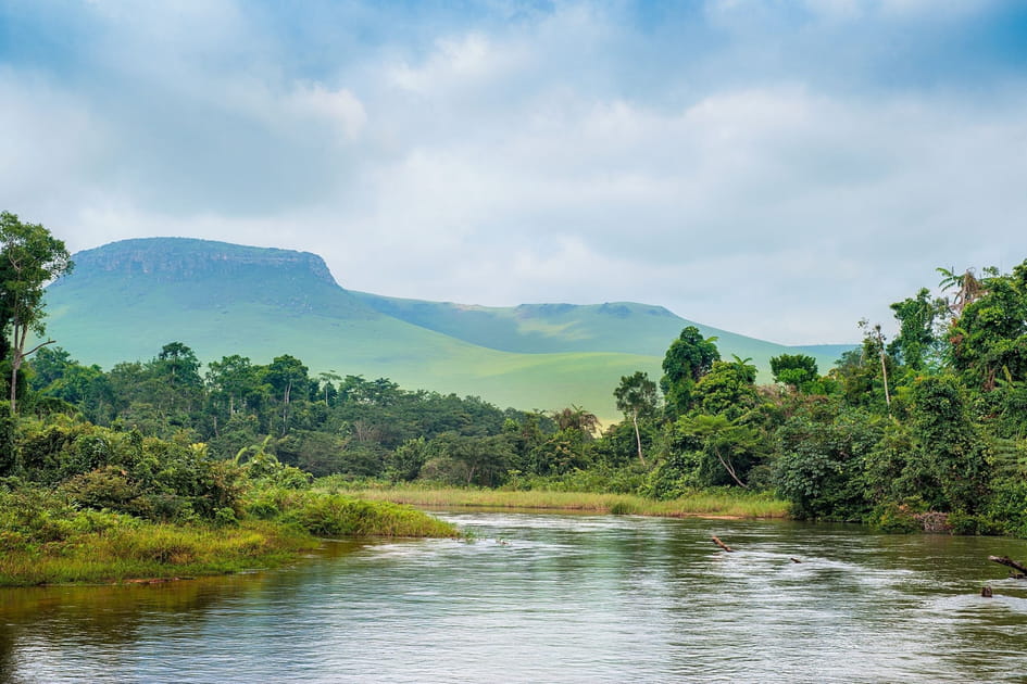 La r&eacute;publique d&eacute;mocratique du Congo
