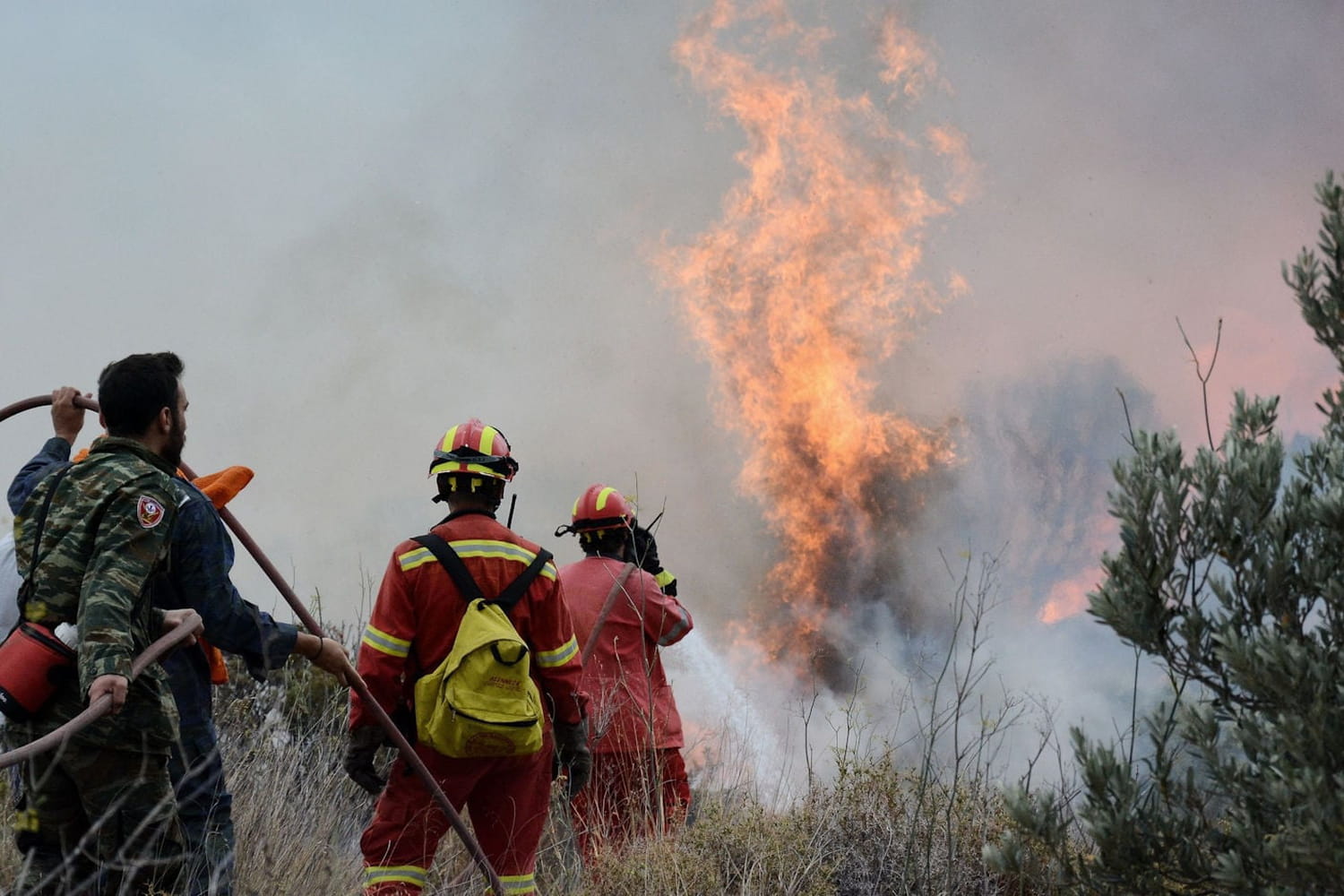 Grèce : la piste criminelle privilégiée après les incendies près d'Athènes
