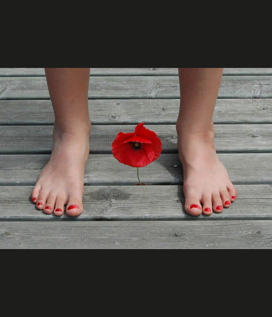 Podes rouges