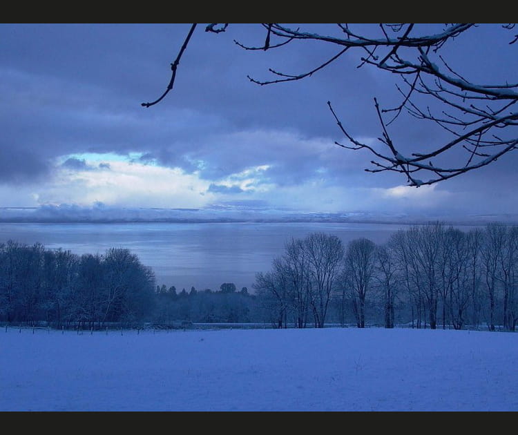 Frimas du petit matin