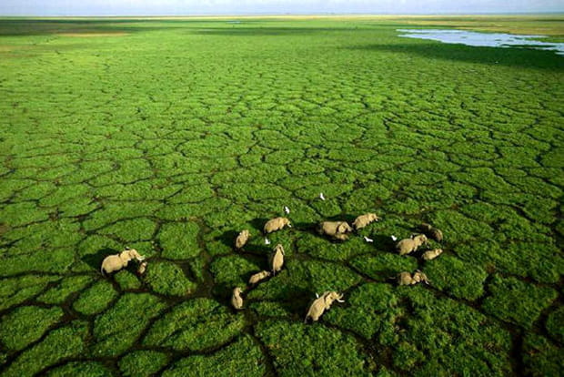 Un époustouflant survol de l'Afrique