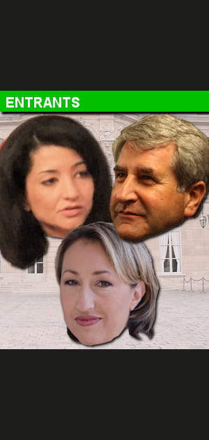 Les autres &quot;entrants&quot;